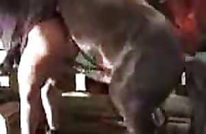 Em yêu ngựa con tinh ranh