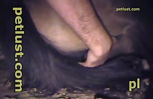 Zoofilia XXX với khó với mày chết tiệt